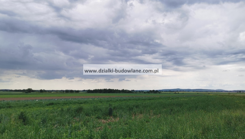 Działka Sprzedaż Strzelin