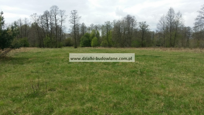 Plot Sale Budy Zosine